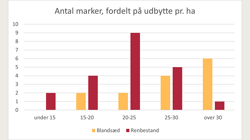 Antal marker dyrket med hhv. blandsæd og renbestand fordelt på udbytte pr. ha. 