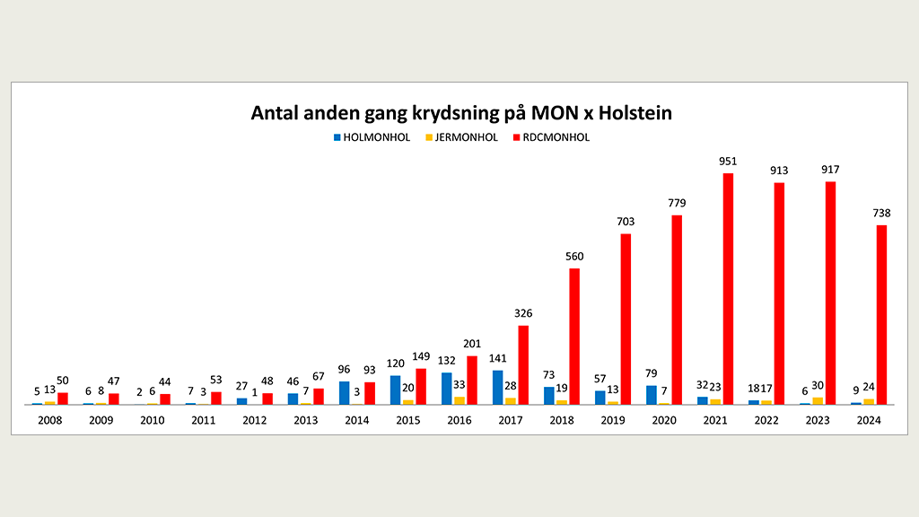 Antal anden gang krydsning på Holstein x Montbeliarde