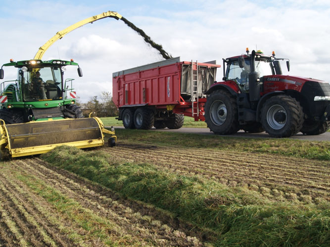 Figur 4: Ved at høste græs sammen med halmstubben undgår man saftafløb, og næringsstofferne fjernes fra marken, så de kan udnyttes effektivt i biogasgødningen.