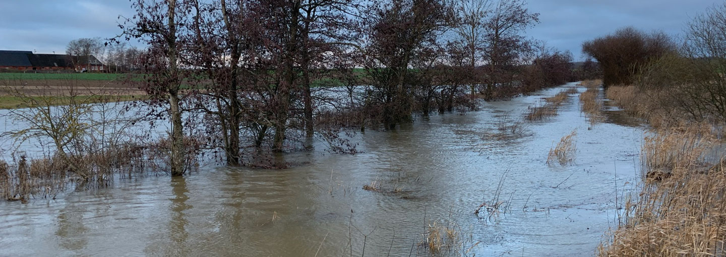 Vådområdeprojekt ved Rævs Å 