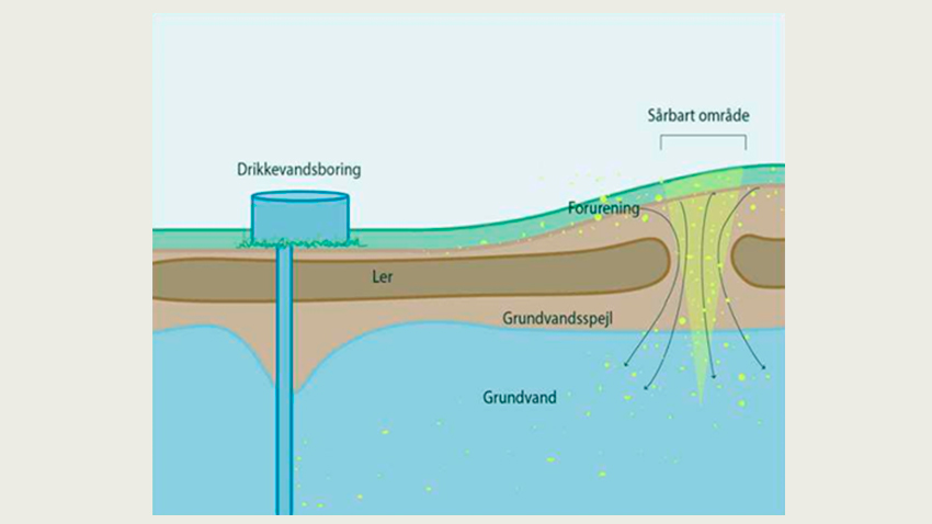 viser hvordan det sårbare område kan ligge længere væk fra boringen, hvis der er et tykt lerdække, som er styrende for, hvordan vandet bevæger sig gennem jordlagene.