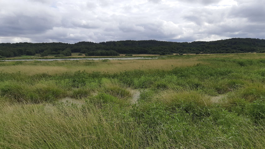 Lavbundsprojektet Heltzen Pumpelaug og Enge