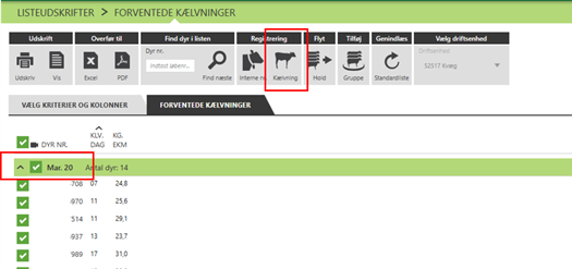 Listen: Forventede kælvninger