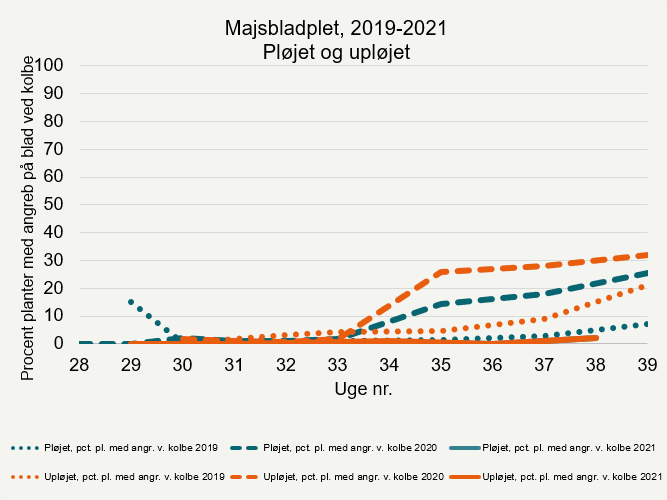 Udviklingen af majsbladplet 