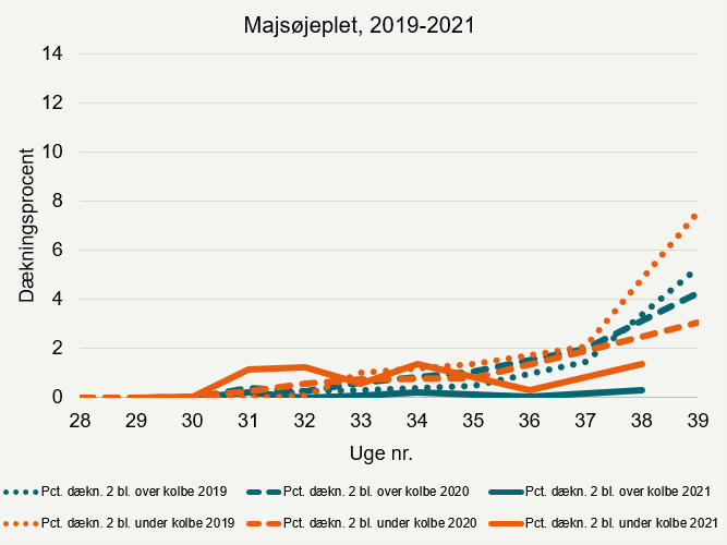 Udvikling af majsøjeplet 