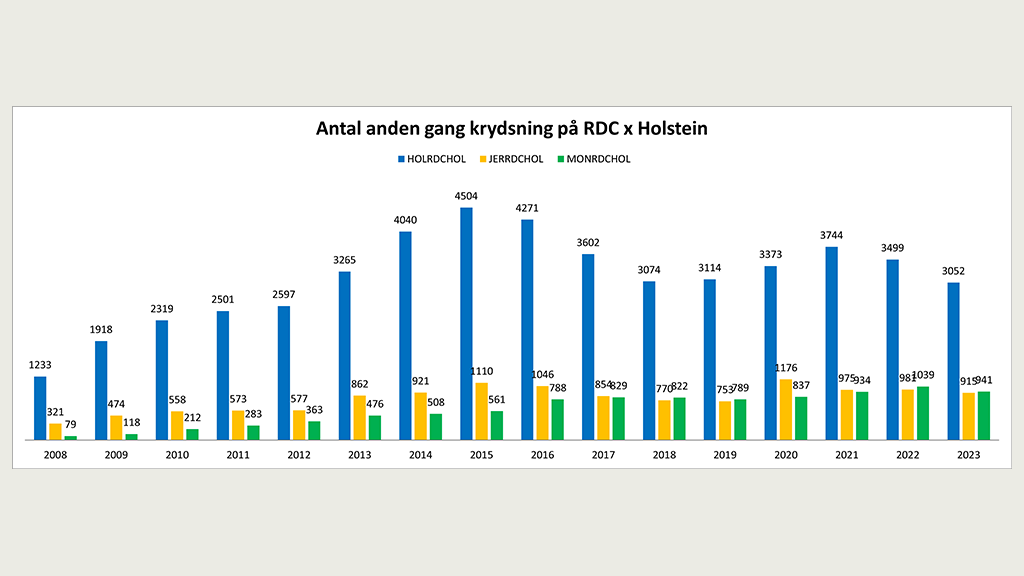 Antal anden gang krydsning på RDC x Holstein