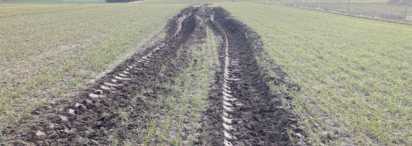 Udbrining af gylle på våd mark