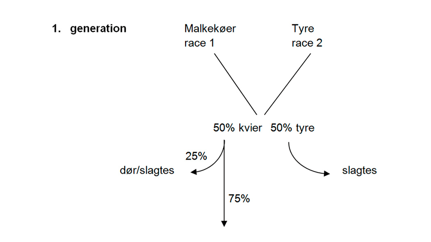Illustration af ZigZag-krydsning: 