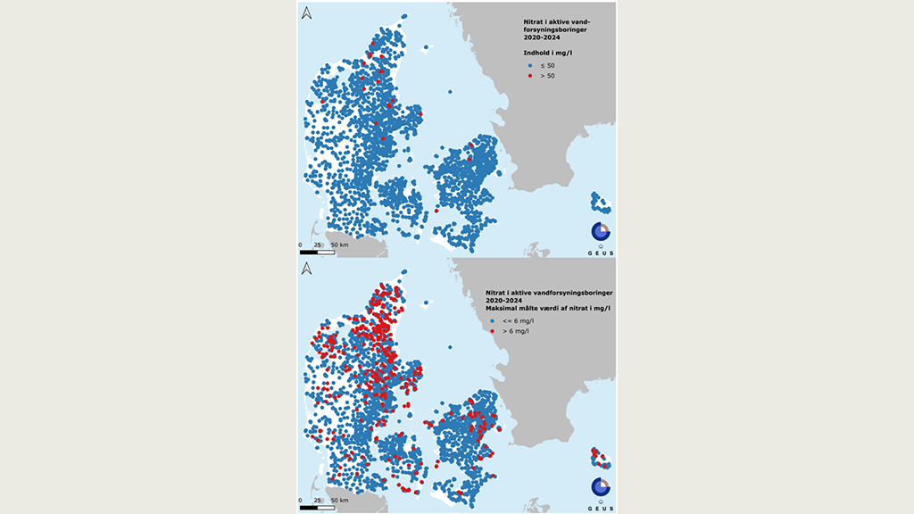 Det gennemsnitlige nitratindhold i grundvandet i 6.019 vandforsyningsboringer i perioden 2020-2024