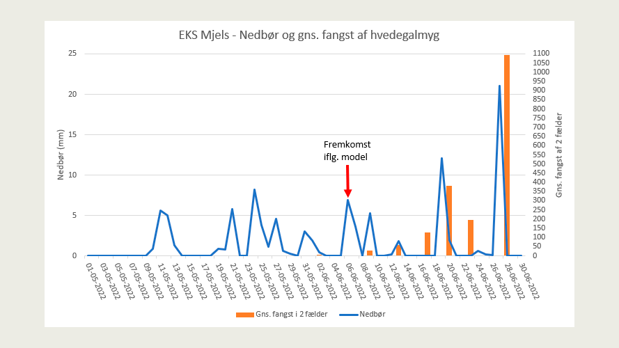 Graf for nedbør på døgnbasis og gennemsnitsfangst 