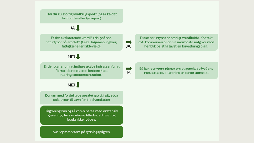 Er tilgroning relevant som naturtiltag i dit projekt?
