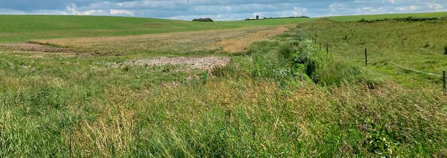 Slugt med drænvirkemiddelpotentiale