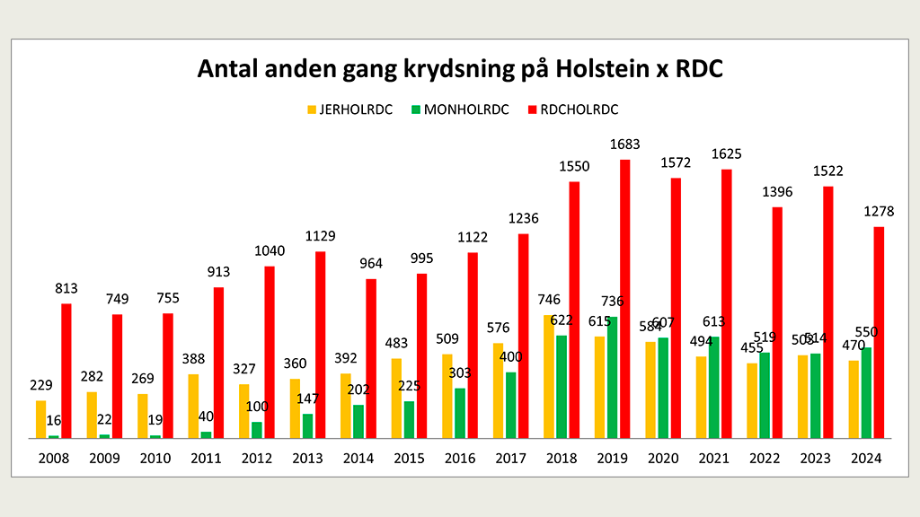 Antal anden gang krydsning på Holstein x RDC