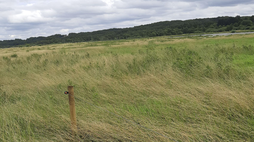 Lavbundsprojektet Heltzen Pumpelaug og Enge