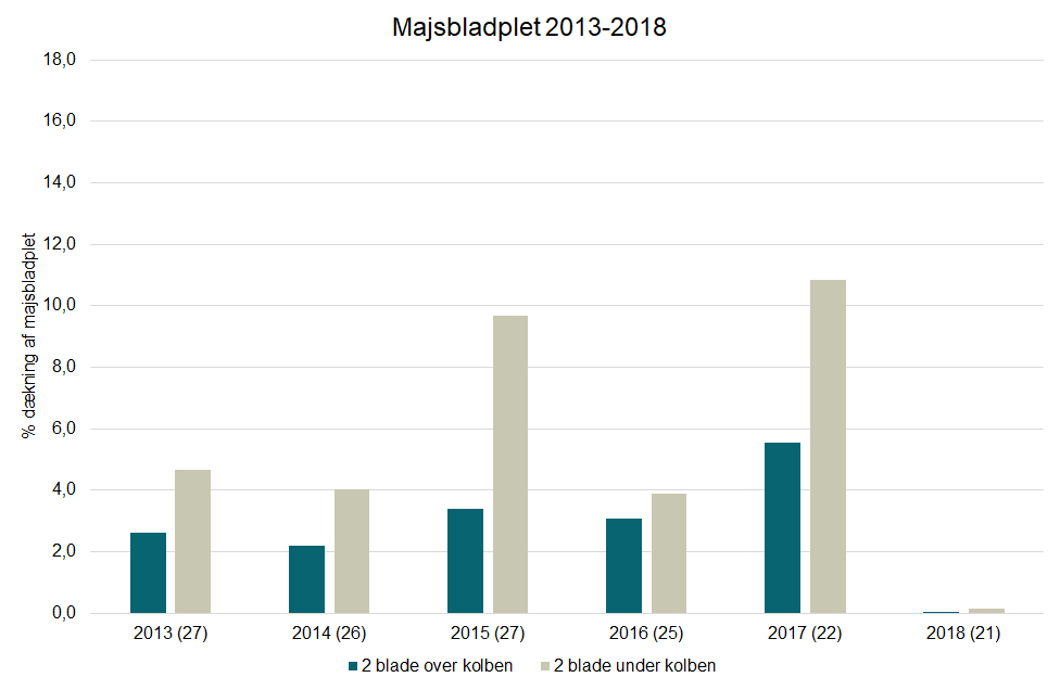 Bladsvampe i majs figur 1