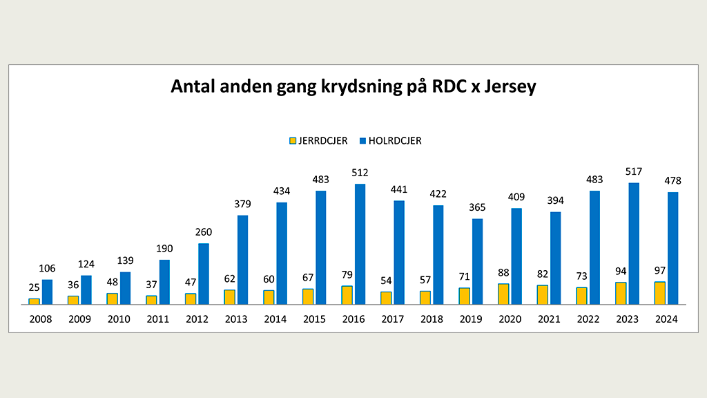 Antal anden gang krydsning på RDC x Jersey