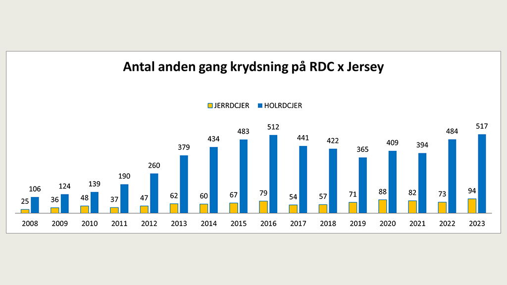 Antal anden gang krydsning på RDC x Jersey