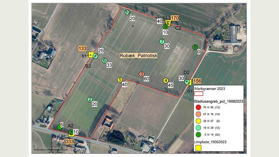 Markkort fra mark Patriotisk Selskab, Rubæk (6,3 ha) og variation i angreb i marken.
