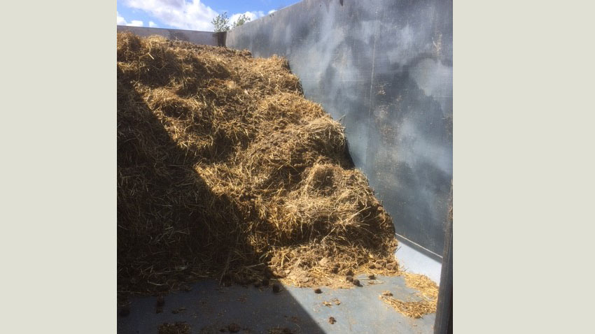 Levering af hestemøg til biogasanlæg er klimamæssigt en rigtig god løsning.