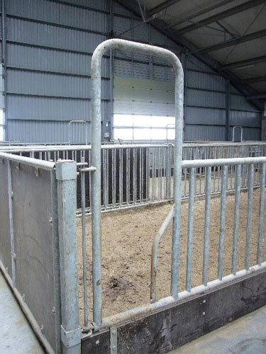 Kælvingsboks med mandehul