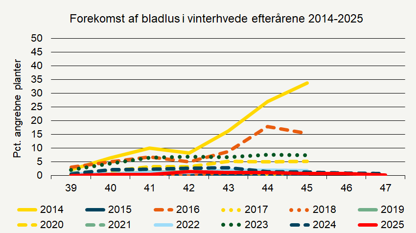 Udviklingen af bladlus (procent angrebne planter) i vinterhvede i efterårene 2014-2025.