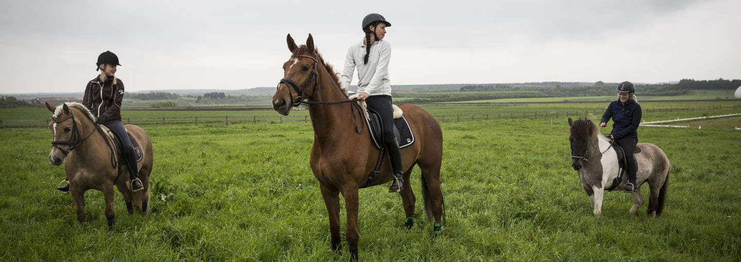 3 piger rider på heste på en grøn græsmark med marker så langt øjet rækker
