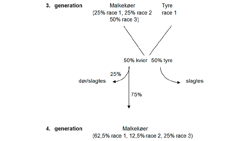 Illustration af rotationskrydsning