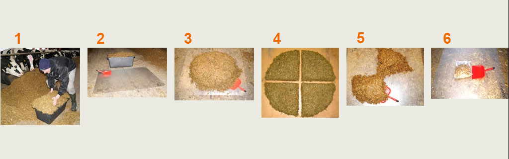 6 små billeder der skridt for skridt viser hvordan man udtager foderprøver til KMP fuldfoder analyser