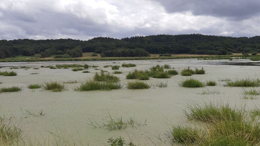 Lavbundsprojektet Heltzen Pumpelaug og Enge