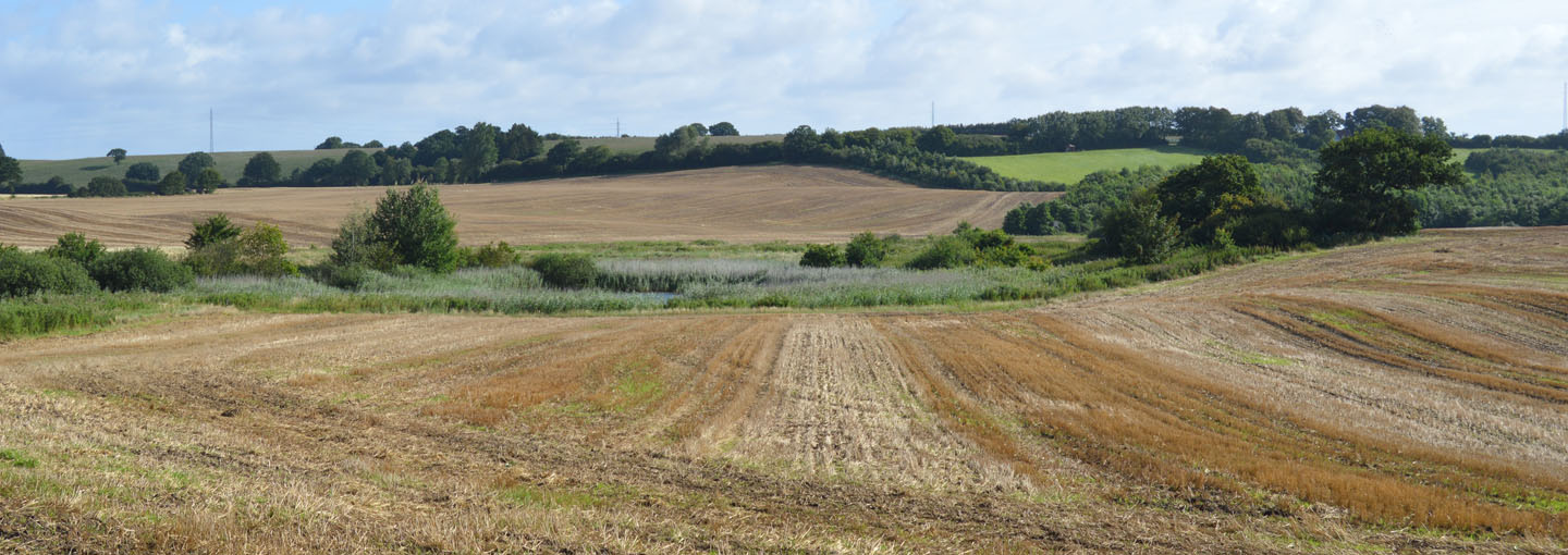 Landskabsvue ud over stubmarker med grønne skel