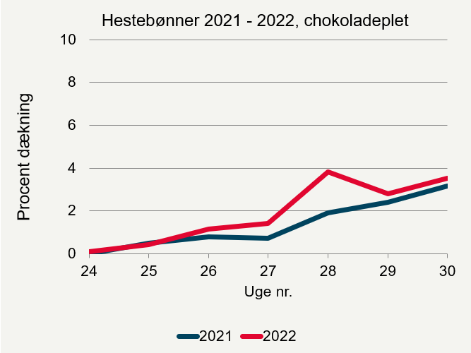 Udviklingen af chokoladeplet i registreringsnettet i hestebønner i 2022. Procent dækning.