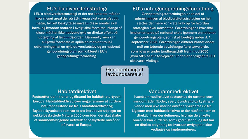 figur viser fire tiltag som har betydning for genopretning af lavbundsarealer
