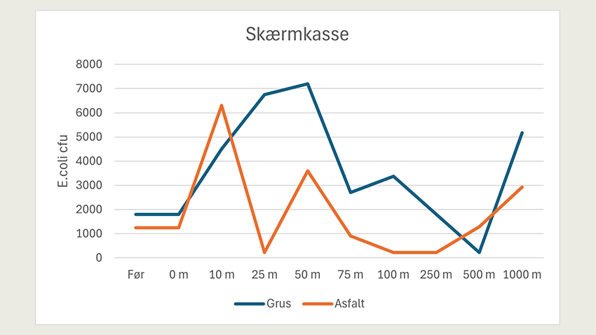 Det er ikke kun på dækkene, at vi kan finde bakterier. Gødningen bliver slynget af dækkene og noget ender på skærmkassen, hvor E. coli bakterier kan findes efter en kilometer.