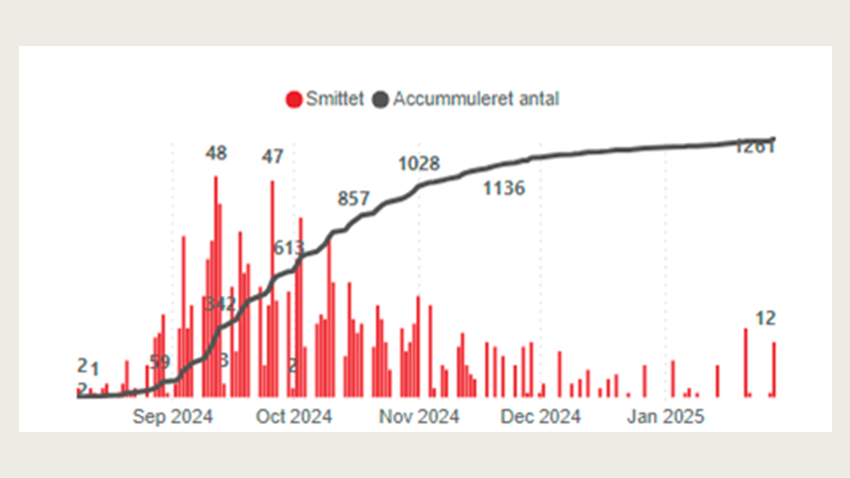 Daglig udvikling i antal konstaterede smittede besætninger med bluetongue