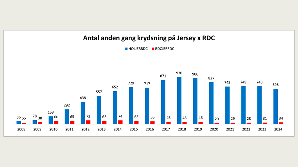 Antal anden gang krydsning på Jersey x RDC