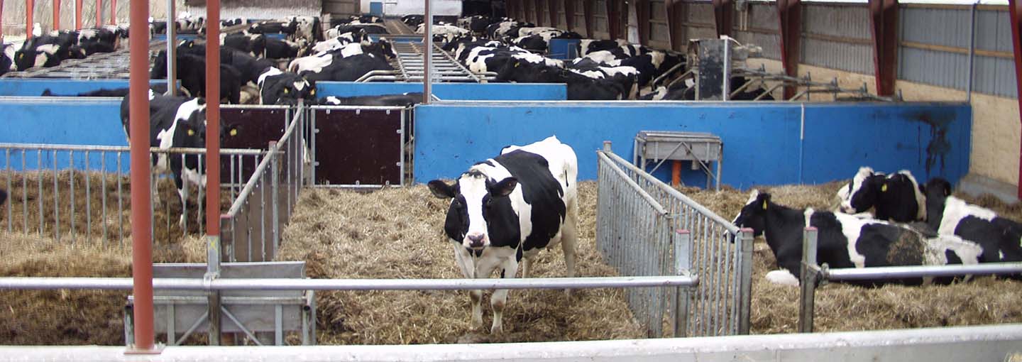 hero_smittebeskyttelse_kalvningsboks