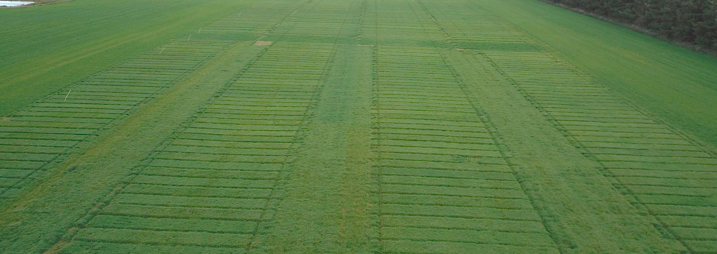 Mark med græsforsøg