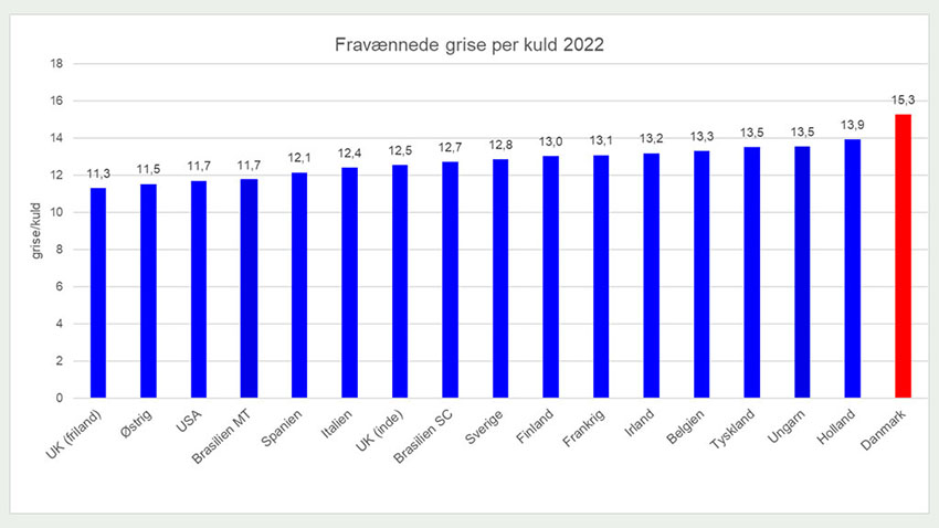 Fravænnede gise per kuld 2022