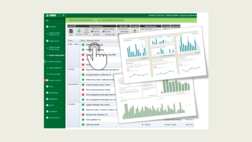 Opdateringer til DMS februar 2025