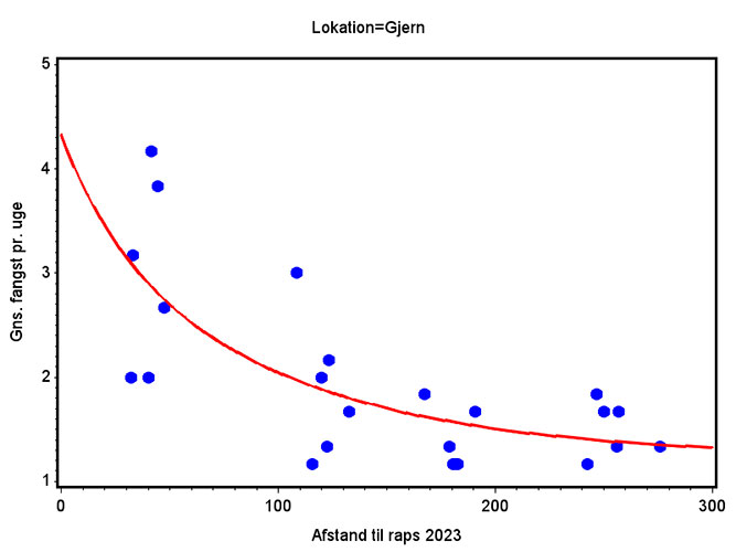 Gns. fangst af rapsjordlopper pr. uge i gule fangbakker plottet mod afstanden til nabomarken med raps i sæson 2023 for lokationen Gjern