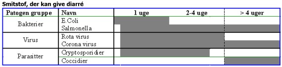 Smitstof, der kan give diarré