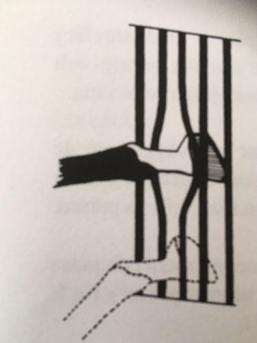 En hest sidder fast med ben/ hov mellem tremmerne