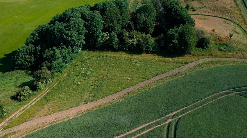 Besværligt hjørne på Julianelyst, der nu er omdannet til ny natur