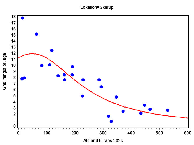 Gns. fangst af rapsjordlopper pr. uge i gule fangbakker plottet mod afstanden til nabomarken med raps i sæson 2023 for lokationen Skårup, Sydfyn
