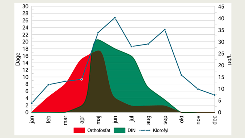 eksempel fra Haderslev Fjord