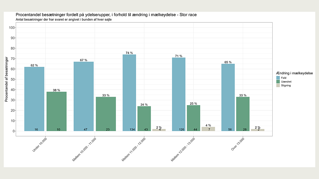 Andelen af besætninger i procent, der oplevede hhv. fald, uændret eller stigning i mælkeydelse i forskellige ydelsesgrupper indenfor stor race ved fodring med Bovaer i 2025.
