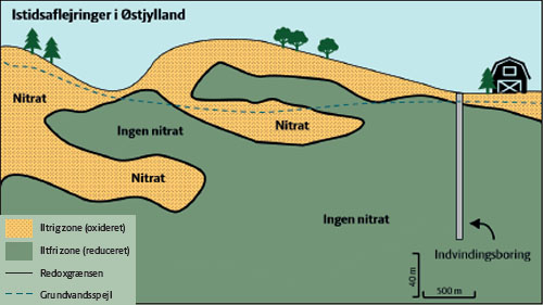 Figur: Nitrat i grundvand