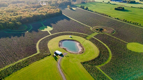 I midten af arealet er der etableret en sø til gavn for dyre- og planteliv
