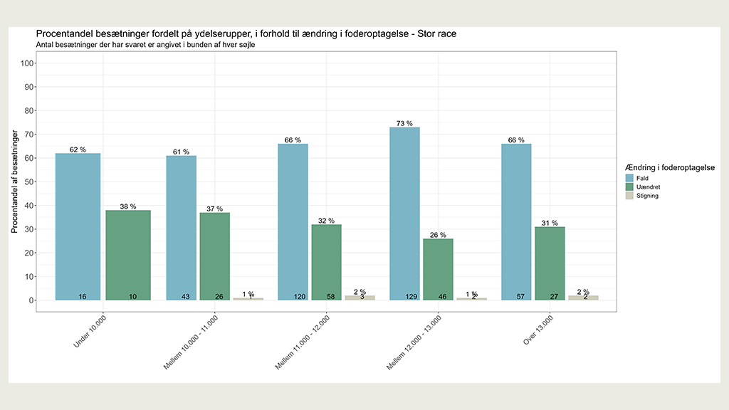 Andelen af besætninger i procent, der oplevede hhv. fald, uændret eller stigning i foderoptagelse i forskellige ydelsesgrupper indenfor stor race ved fodring med Bovaer i 2025.