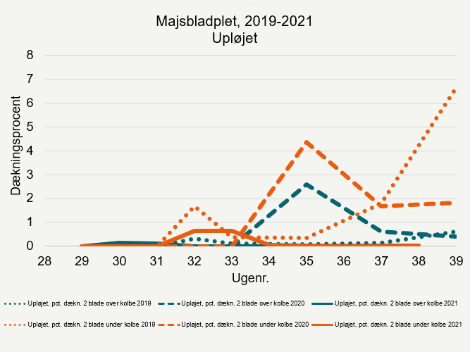 Udviklingen af majsbladplet 